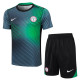 Nigeria Super Eagles Pre-Match Jersey - Upa and Down